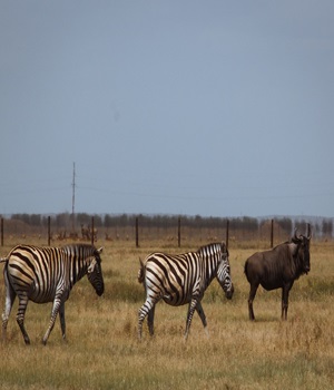 Black Sea Biosphere Reserve Black Sea Biosphere Reserve